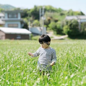 08 Tone Màu Nhật Bản Trong Veo Thích Hợp Ảnh Mùa Hè Phong Cách Hamada Hideaki 2023 (XMP/DNG)