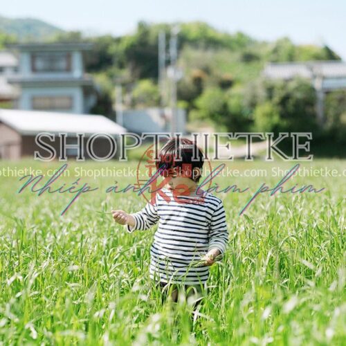 08 Tone Màu Nhật Bản Trong Veo Thích Hợp Ảnh Mùa Hè Phong Cách Hamada Hideaki 2023 (XMP/DNG)