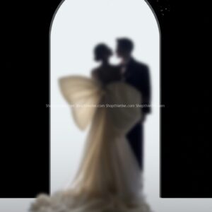 08 Mẫu Background Ảnh Cưới Sang Trọng Chụp Trong Nhà Mới Nhất 2023 (PSD)