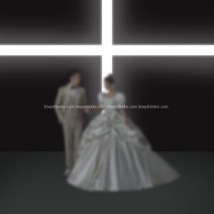 08 Mẫu Background Ảnh Cưới Sang Trọng Chụp Trong Nhà Mới Nhất 2023 (PSD)