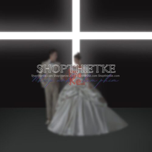 08 Mẫu Background Ảnh Cưới Sang Trọng Chụp Trong Nhà Mới Nhất 2023 (PSD)