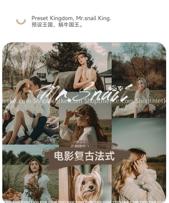 08 Tone Màu Film Nâu Tây Chất Lượng Châu Âu Hợp Ảnh Ngoài Trời (XMP/LR/DNG/CUBE)