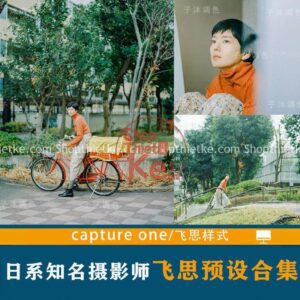 29 Bộ Màu Nhật Bản Feisi Bao Gồm 3200+ Costyle Phù Hợp Nhiều Thể Loại Ảnh