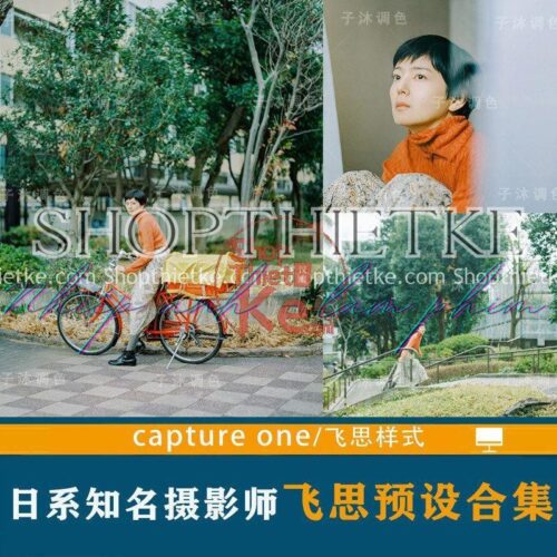 29 Bộ Màu Nhật Bản Feisi Bao Gồm 3200+ Costyle Phù Hợp Nhiều Thể Loại Ảnh