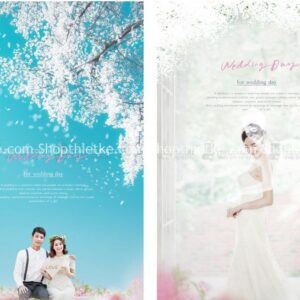 10 Background Ảnh Cưới Đẹp Nhẹ Nhàng Thanh Khiết Phong Cách Hàn Quốc (PSD)