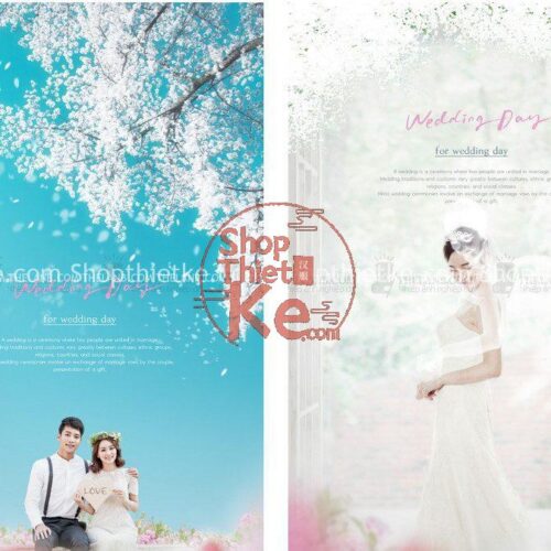 10 Background Ảnh Cưới Đẹp Nhẹ Nhàng Thanh Khiết Phong Cách Hàn Quốc (PSD)