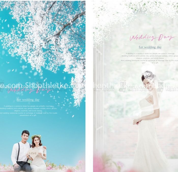 10 Background Ảnh Cưới Đẹp Nhẹ Nhàng Thanh Khiết Phong Cách Hàn Quốc (PSD)