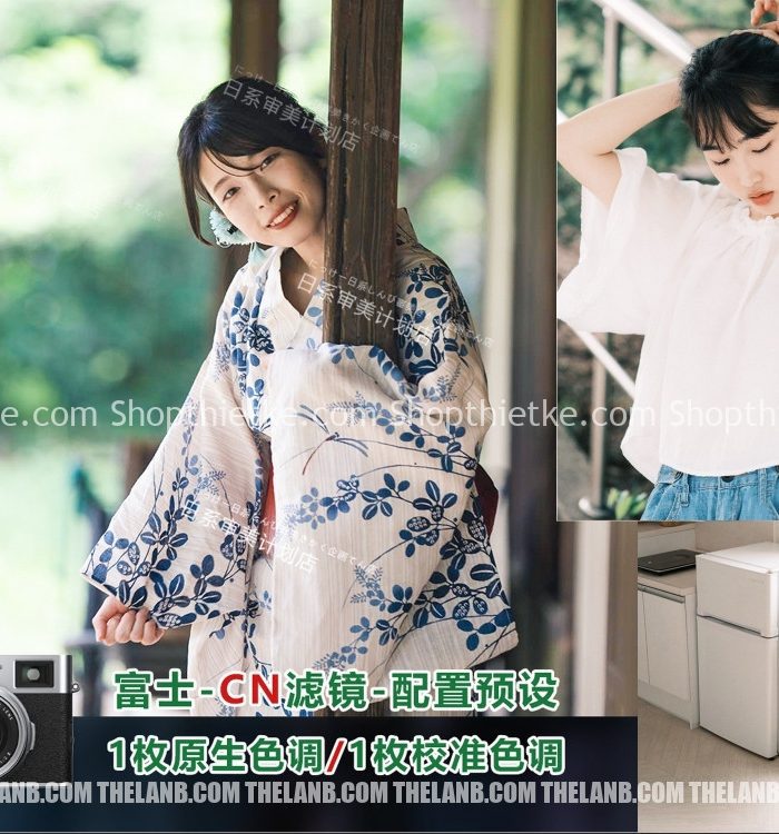 Bộ Profile Mô Phỏng Film Âm Bản Fuji Classic Neg (XMP)