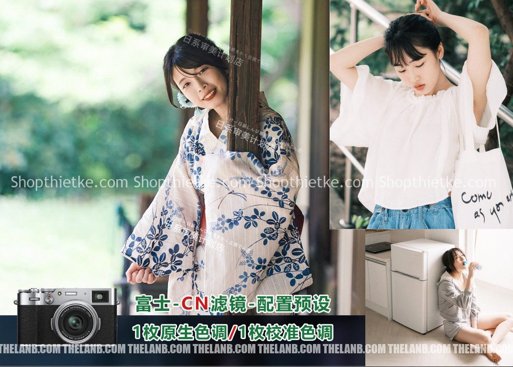 Bộ Profile Mô Phỏng Film Âm Bản Fuji Classic Neg (XMP) 3 shopthietke com Pasted 2