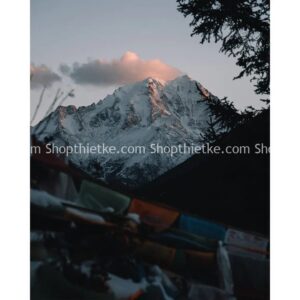 10 Tone Màu Film Dành Cho Ảnh Chụp Du Lịch, Ảnh Phong Cảnh (XMP/DNG)