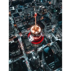 15 Tone Màu Cyber Của Năm 2077 - Màu Xanh Lam Và Đèn Neon Tương Lai (XMP/DNG)