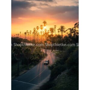 Gói Cài Đặt Trước Tone màu Film Nhẹ Nhàng Hiện Đại Phong Cách Nhật Bản (XMP/DNG)