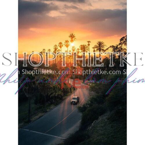 Gói Cài Đặt Trước Tone màu Film Nhẹ Nhàng Hiện Đại Phong Cách Nhật Bản (XMP/DNG)