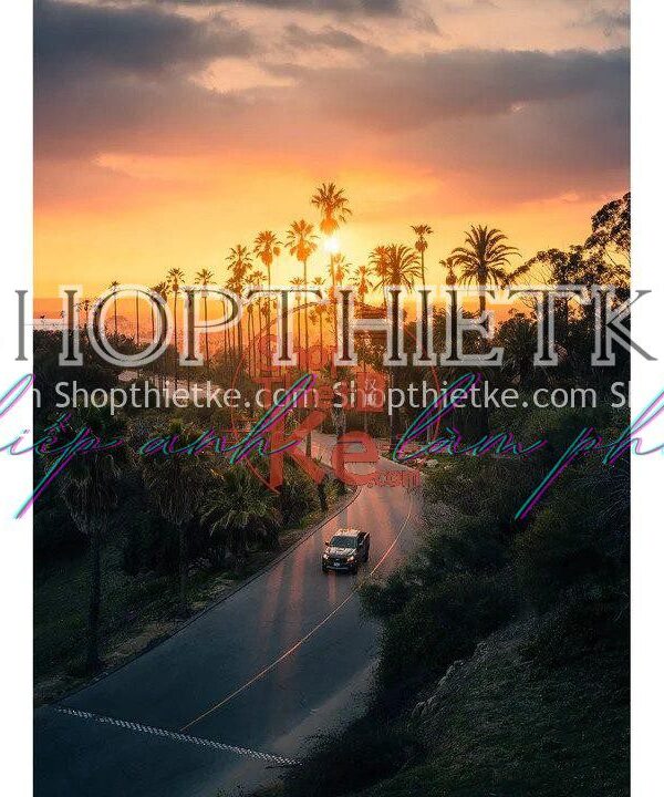 Gói Cài Đặt Trước Tone màu Film Nhẹ Nhàng Hiện Đại Phong Cách Nhật Bản (XMP/DNG)