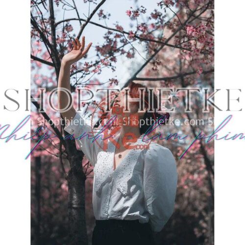 Gói Cài Đặt Trước Tone màu Film Nhẹ Nhàng Hiện Đại Phong Cách Nhật Bản (XMP/DNG)