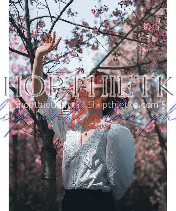 Gói Cài Đặt Trước Tone màu Film Nhẹ Nhàng Hiện Đại Phong Cách Nhật Bản (XMP/DNG)