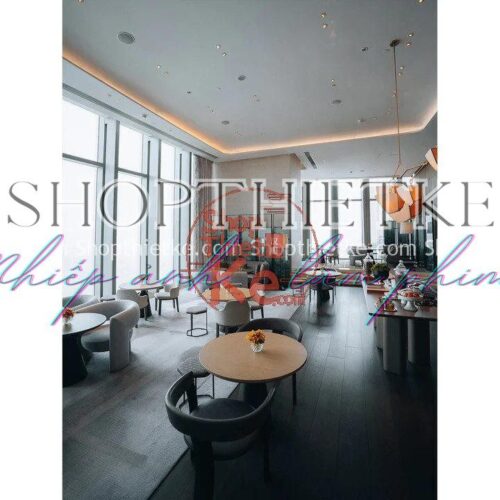 08 Tone Màu Mềm Mại Ấm Áp Thích Hợp Ảnh Chụp Hằng Ngày (XMP/DNG)