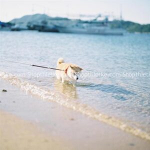 05 Tone Màu Xanh Lơ Dịu Nhẹ Đến Từ NAG Nhật Bản Okada Takuya (XMP/CUBE/DNG)