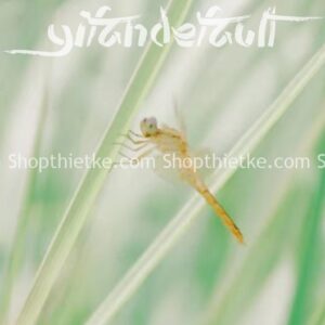 34 Tone Màu Trong Veo Phổ Biến Tại Nhật Bản Cập Nhật Mới Nhất 2023 (XMP/LUTs/DNG)