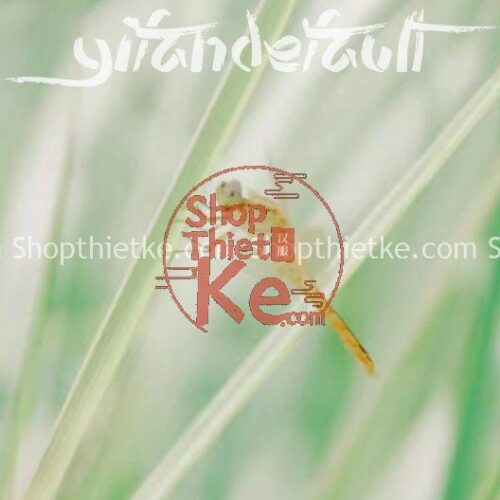 34 Tone Màu Trong Veo Phổ Biến Tại Nhật Bản Cập Nhật Mới Nhất 2023 (XMP/LUTs/DNG)