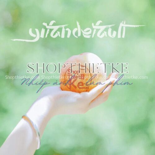 34 Tone Màu Trong Veo Phổ Biến Tại Nhật Bản Cập Nhật Mới Nhất 2023 (XMP/LUTs/DNG)