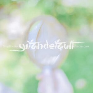 34 Tone Màu Trong Veo Phổ Biến Tại Nhật Bản Cập Nhật Mới Nhất 2023 (XMP/LUTs/DNG)