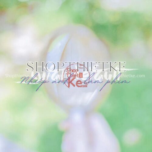 34 Tone Màu Trong Veo Phổ Biến Tại Nhật Bản Cập Nhật Mới Nhất 2023 (XMP/LUTs/DNG)