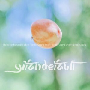 34 Tone Màu Trong Veo Phổ Biến Tại Nhật Bản Cập Nhật Mới Nhất 2023 (XMP/LUTs/DNG)