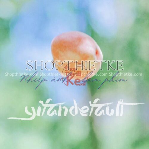 34 Tone Màu Trong Veo Phổ Biến Tại Nhật Bản Cập Nhật Mới Nhất 2023 (XMP/LUTs/DNG)