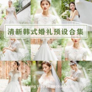 Tổng Hợp 4 Bộ Màu Với Hơn 51 Preset Tone Màu Hàn Quốc Trẻ Trung (XMP/DNG/LUTs)