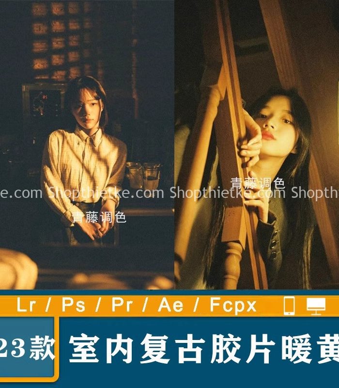 23 Tone Màu Vàng Ấm Thích Hợp Ảnh Chụp Studio Trong Nhà Phong Cách Cổ Điển Trung Quốc (XMP/DNG/CUBE)