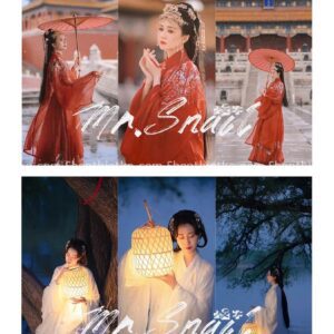 23 Bộ Preset Với Hơn 500 Màu Chỉ Dành Riêng Cho Ảnh Cổ Trang Update 2023 (XMP/LUTs)