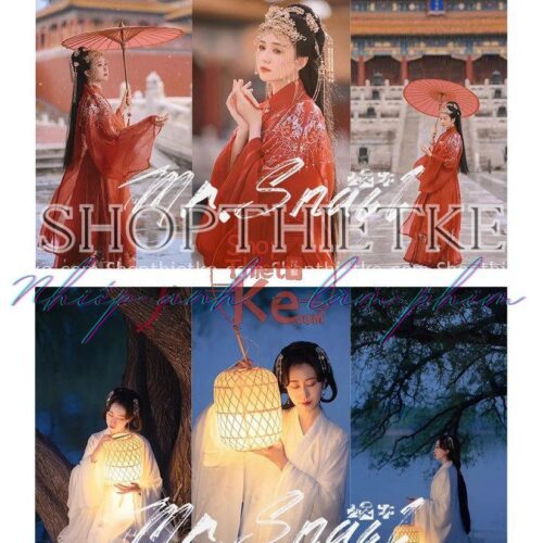 23 Bộ Preset Với Hơn 500 Màu Chỉ Dành Riêng Cho Ảnh Cổ Trang Update 2023 (XMP/LUTs)