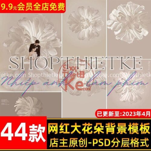 Bộ Backgound Hoa 3D Nghệ Thuật Ghép Ảnh Cưới, Ảnh Chân Dung (PSD)