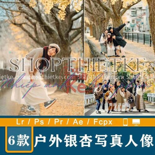 06 Tone Màu Mùa Thu Hàn Quốc Thích Hợp Ảnh Chân Dung (XMP/DNG/CUBE)