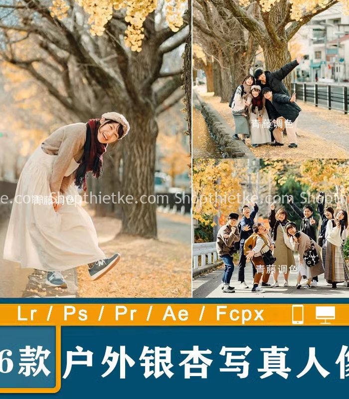 06 Tone Màu Mùa Thu Hàn Quốc Thích Hợp Ảnh Chân Dung (XMP/DNG/CUBE)