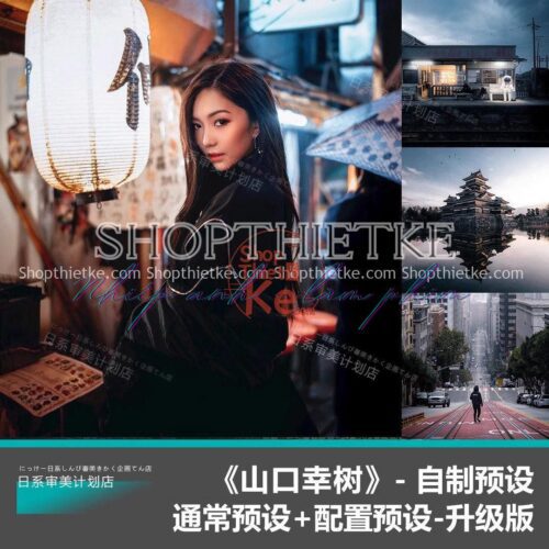 16 Tone Màu Cho Ảnh Chụp Đêm Phong Cách NAG Người Nhật Yamaguchi Yuki (XMP/DNG/CUBE)