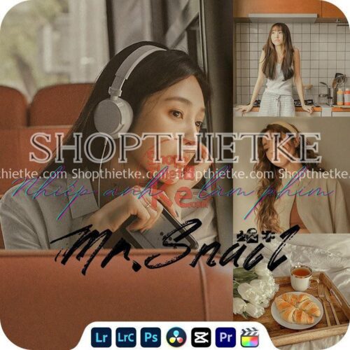 08 Tone Màu Nâu Nhật Bản Chụp Ảnh Chân Dung Trong Nhà - Ngoài Trời (XMP/CUBE)