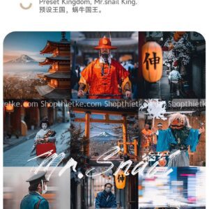 18 Tone Màu Hiện Đại Dành Cho Chụp Ảnh Phong Cảnh, Kiến Trúc Phong Cách Nhật Bản (XMP/LR/CUBE)