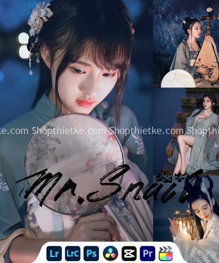 33 Tone Màu Cổ Trang Chụp Đêm Phù Hợp Concept Ảnh Trung Thu Sắp Tới (XMP/LUTs)