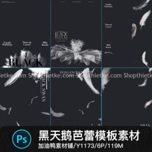 06 Mẫu Background Lông Vũ Ghép Ảnh Bale, Độ Phân Giải Chi Tiết Cao (PSD)