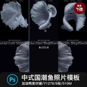 06 Mẫu Background Ảnh Cưới Chủ Đề Chú Cá Khổng Lồ Cực Độc Lạ (PSD)