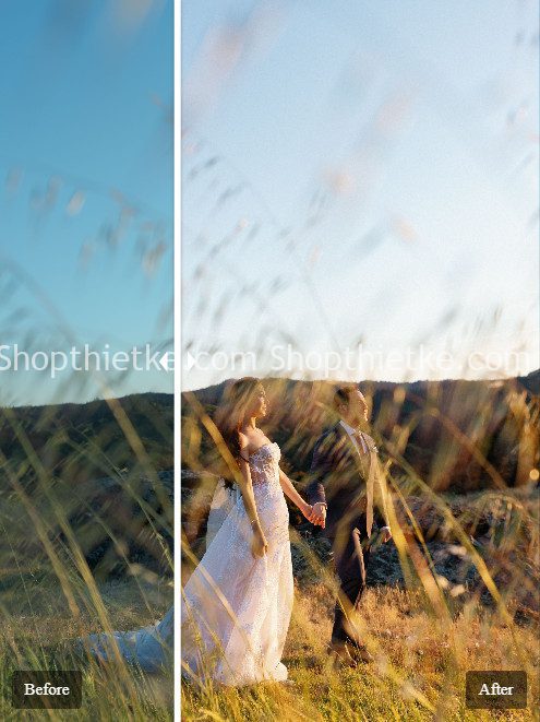 Sản Phẩm Đang Giảm Giá 319 Goodlights Presets | Pack 4 Bộ Tone Màu Ảnh Cưới Trong Trẻo Phong Cách Âu Mỹ (XMP)