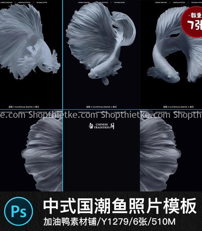 Sản Phẩm Đang Giảm Giá 330 06 Mẫu Background Ảnh Cưới Chủ Đề Chú Cá Khổng Lồ Cực Độc Lạ (PSD)