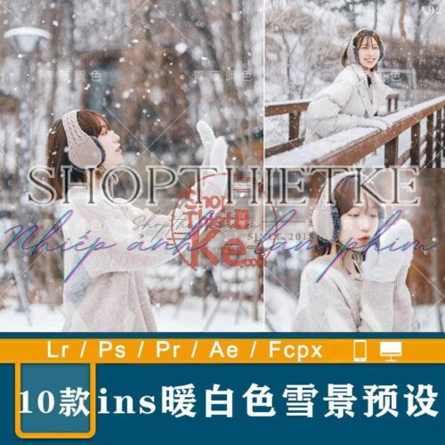 10 Tone Màu Chụp Ảnh Mùa Đông, Chụp Với Tuyết Rơi (XMP/DNG/CUBE)