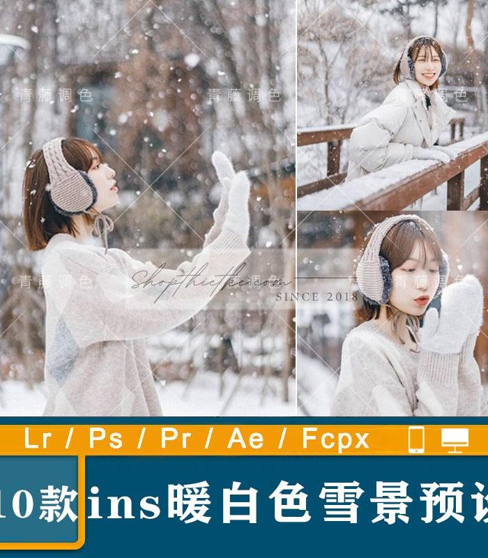 10 Tone Màu Chụp Ảnh Mùa Đông, Chụp Với Tuyết Rơi (XMP/DNG/CUBE)