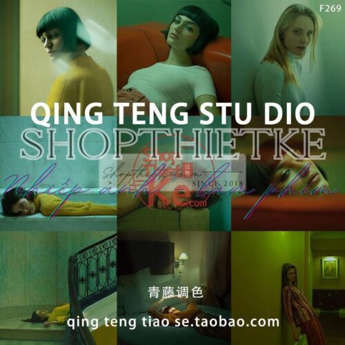 08 Kiểu Màu Film Hongkong Kết Hợp Film Âu - Mỹ Dành Cho Ảnh Chụp Đêm (XMP/DNG/CUBE)