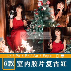 06 Tone Màu Retro Cho Ảnh Chụp Lễ Giáng Sinh Trong Nhà Phong Cách Nhật (XMP/LR/DNG/CUBE)