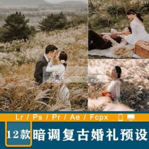 12 Tone Màu Nâu Retro Dành Cho Ảnh Cưới Phong Cách Hàn Quốc (XMP/LR/DNG/CUBE)