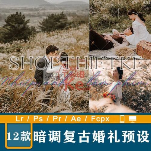 12 Tone Màu Nâu Retro Dành Cho Ảnh Cưới Phong Cách Hàn Quốc (XMP/LR/DNG/CUBE)